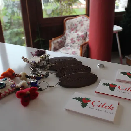 Hotel Cilek Butik 3*